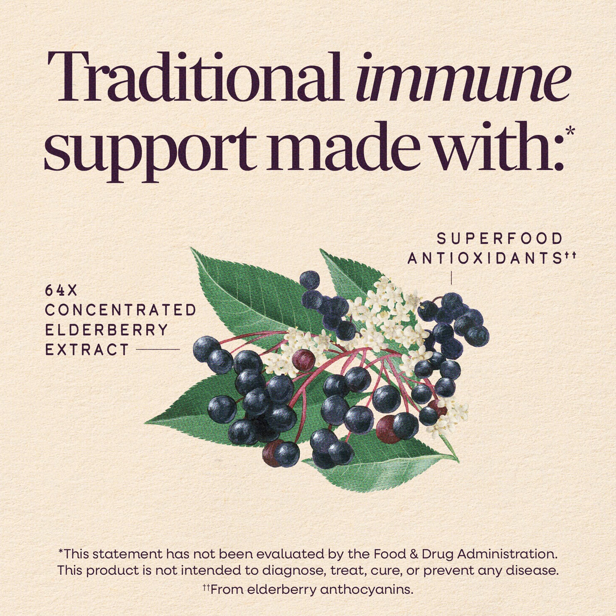 Nature's Way Sambucus syrup with fresh elderberries on a wooden table
