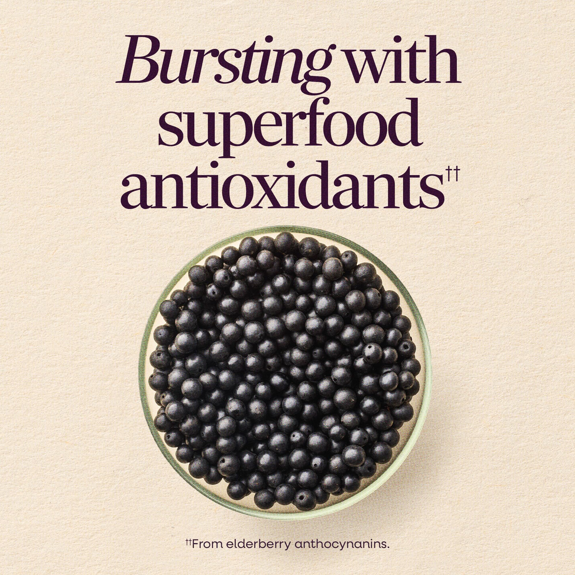Nature's Way Sambucus Zero Sugar daily wellness Gummies on a wooden table