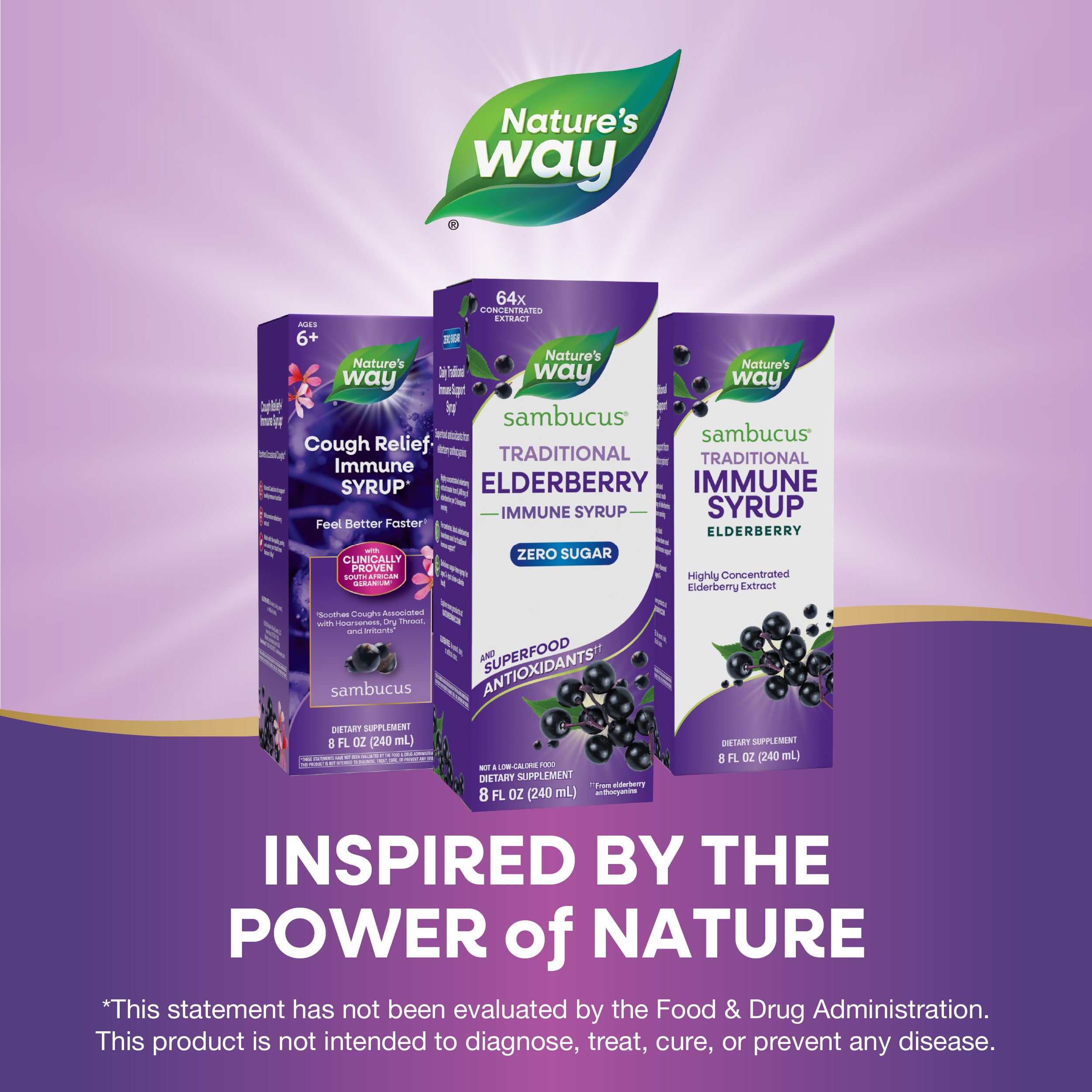 Nature's Way Sambucus Zero Sugar daily wellness Syrup with fresh elderberries