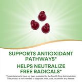 Nature's Way Tart Cherry Ultra Gummies with gummies displayed