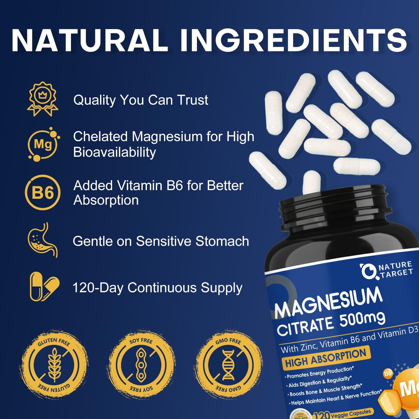 NATURE TARGET Magnesium Citrate 500mg 120 capsules side view