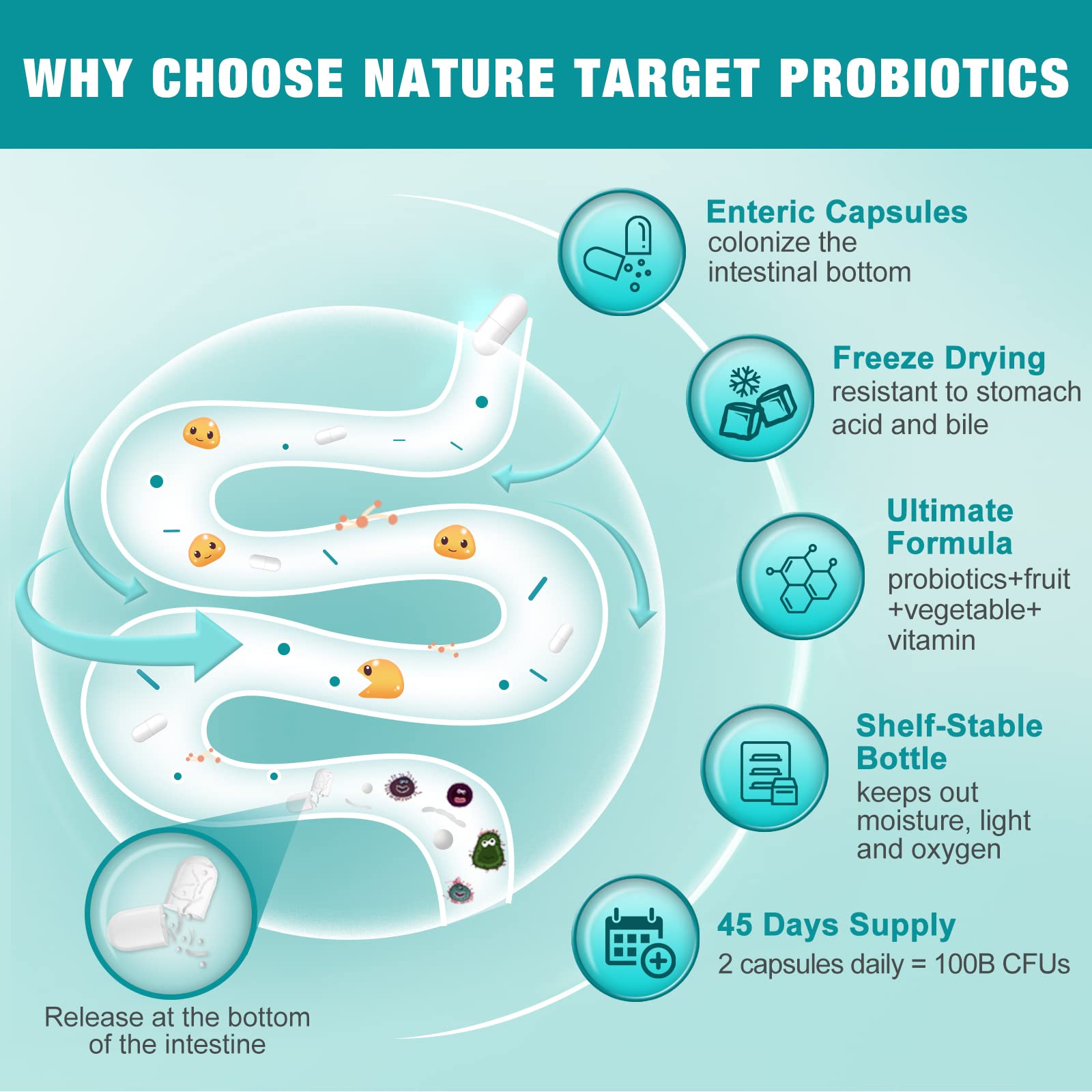 NATURE TARGET Probiotics 5 in 1 supplement side view
