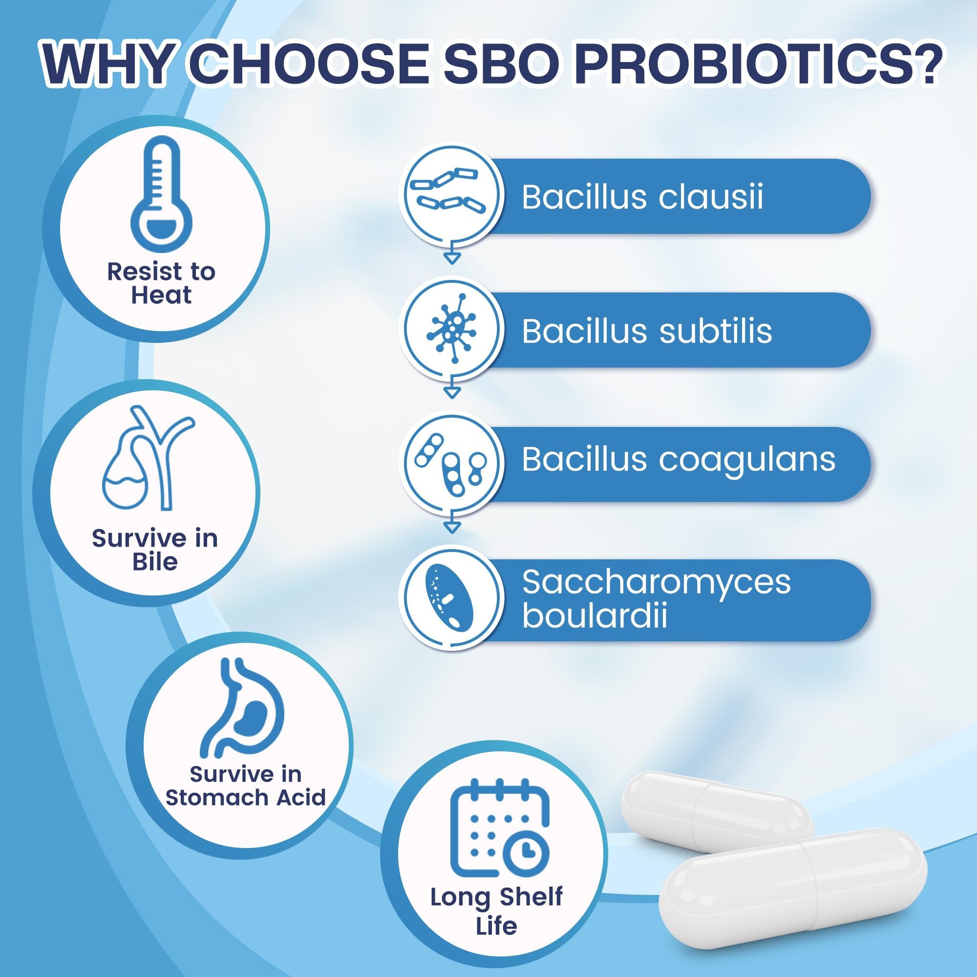 NATURE TARGET Sbo Probiotics ingredients list
