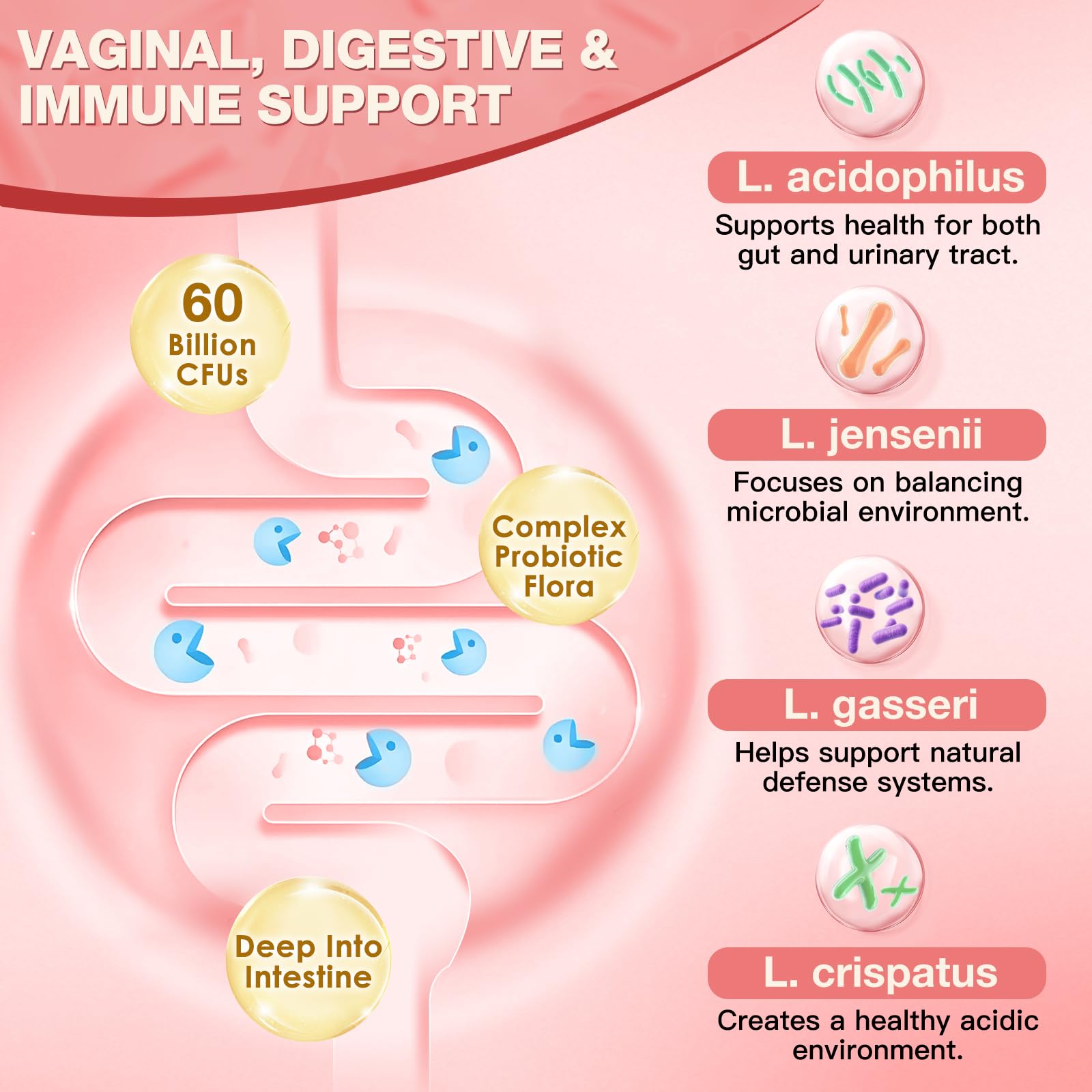 NATURE TARGET Women's Probiotic 60 Billion CFU capsules with water