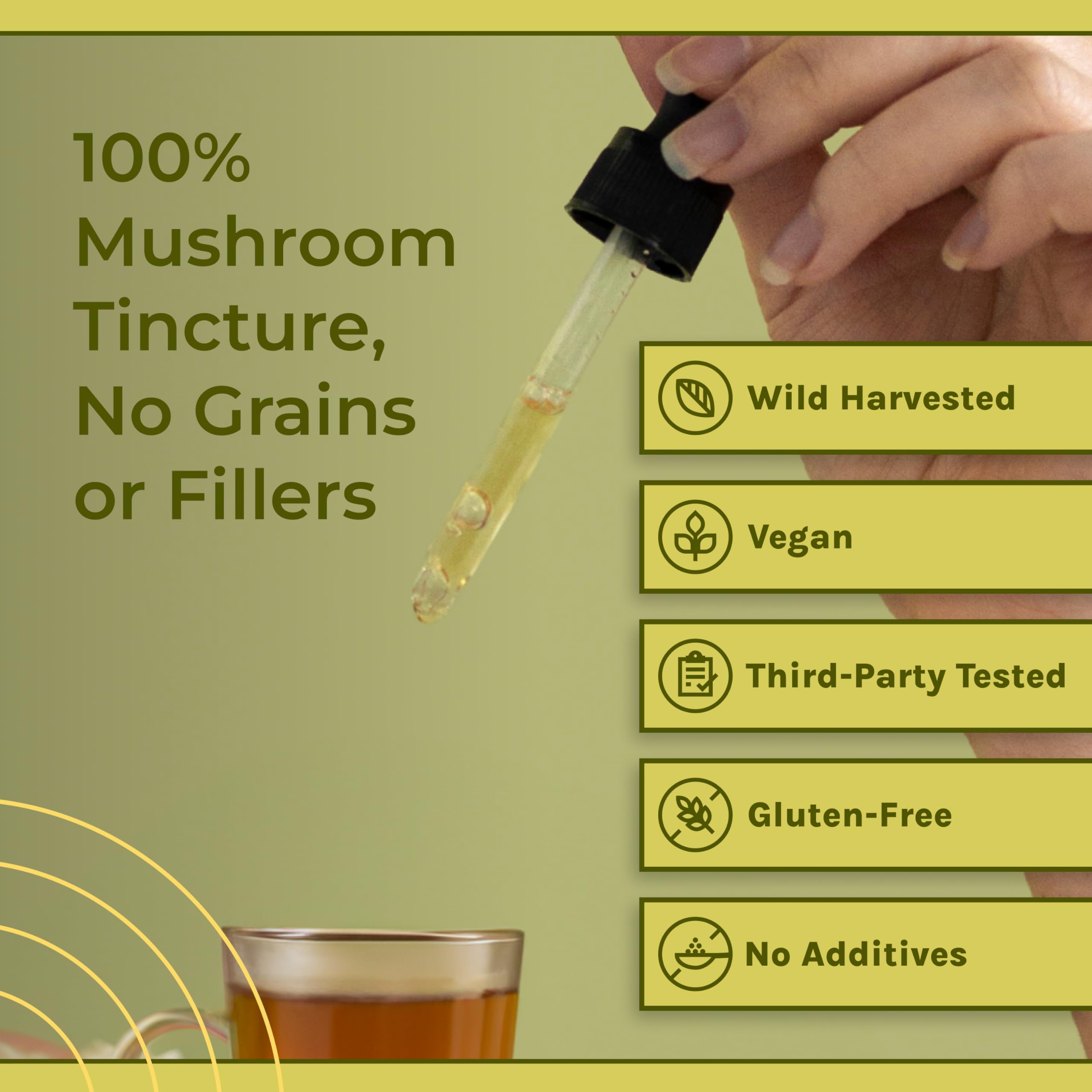 Naturealm Chaga Mushroom Tincture packaging details