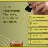 Naturealm Chaga Mushroom Tincture packaging details