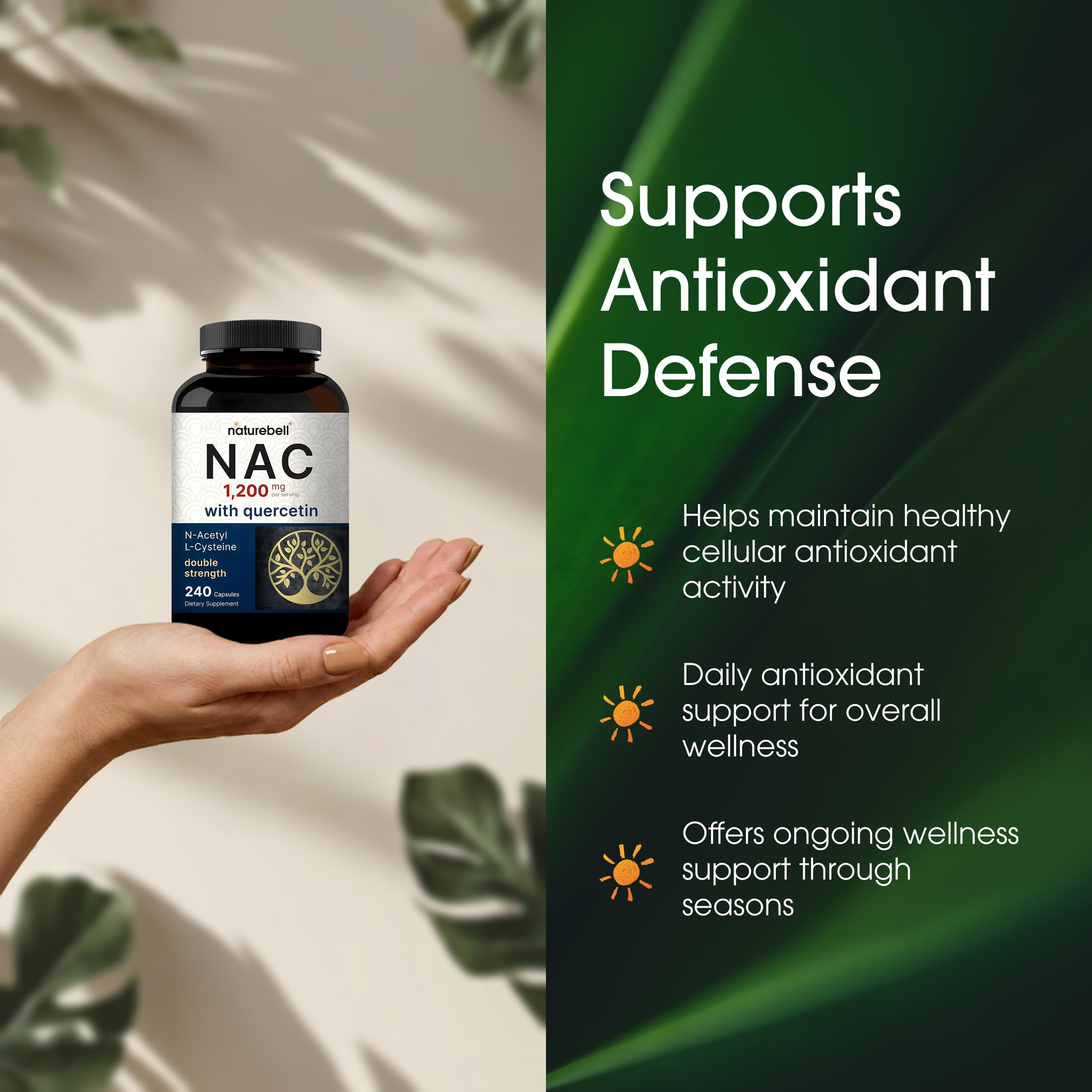 NatureBell Acetyl-L-Carnitine 1200mg side view of the bottle