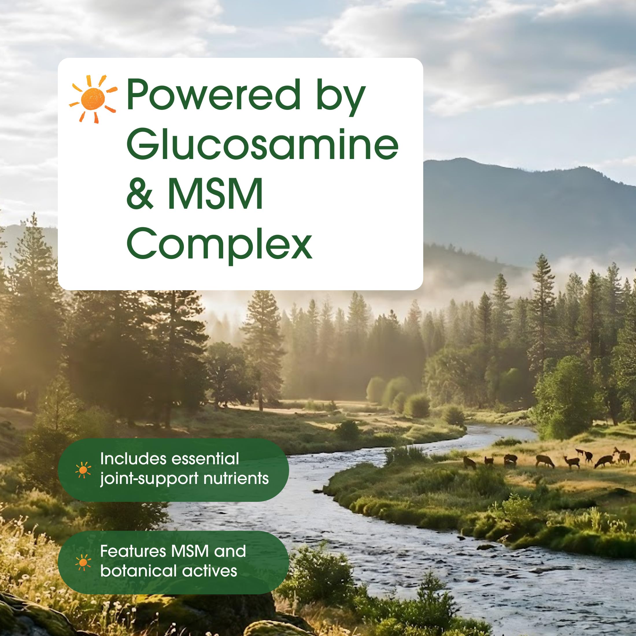 NatureBell Advanced Glucosamine Chondroitin & MSM capsules on a wooden table