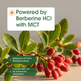 NatureBell Berberine 1,000mg softgels on a wooden table