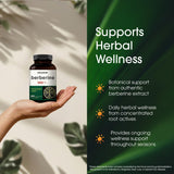 NatureBell Berberine 500mg supplement ingredients list