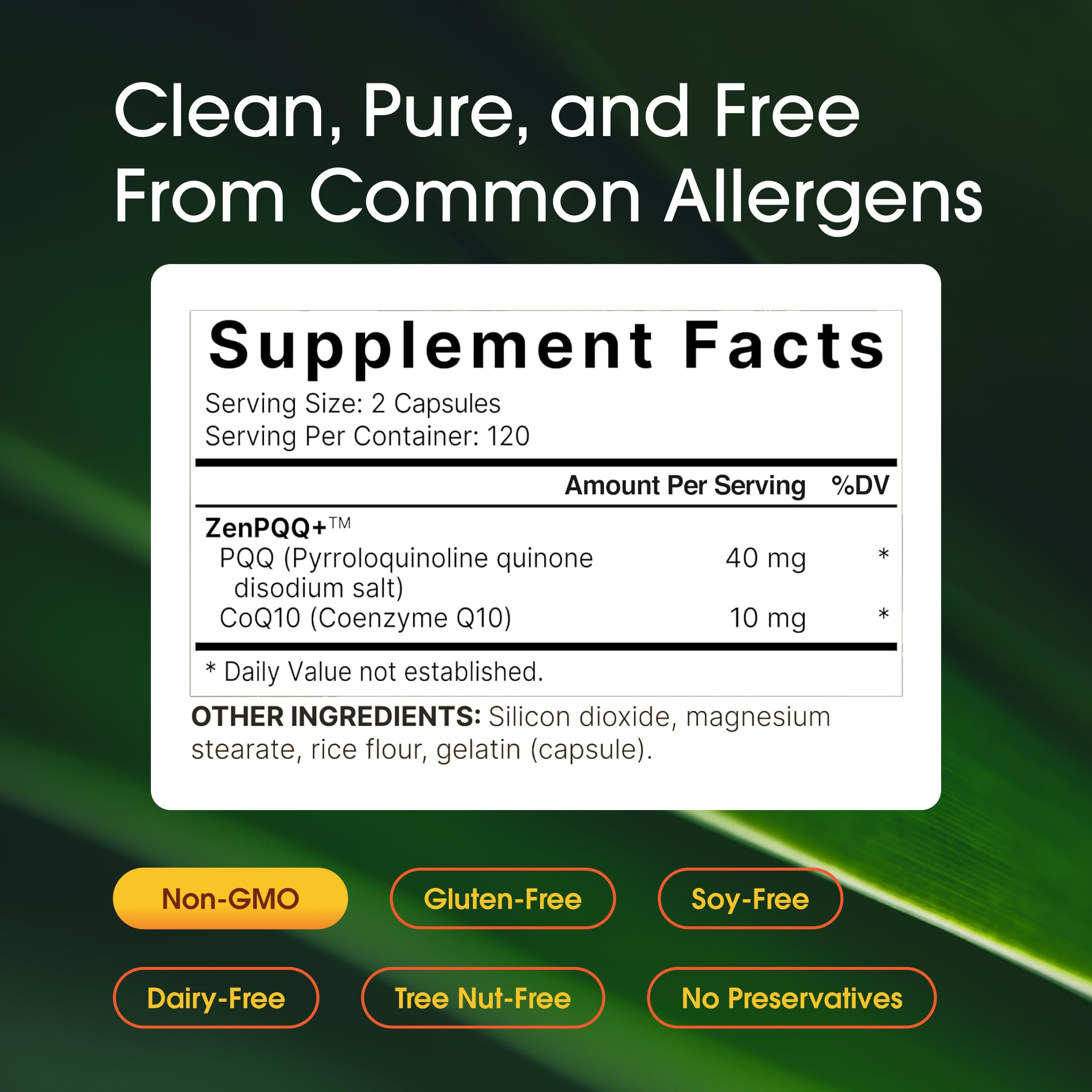NatureBell CoQ10 supplement with PQQ back view with ingredient list