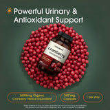NatureBell Cranberry Concentrate 360mg capsules back view