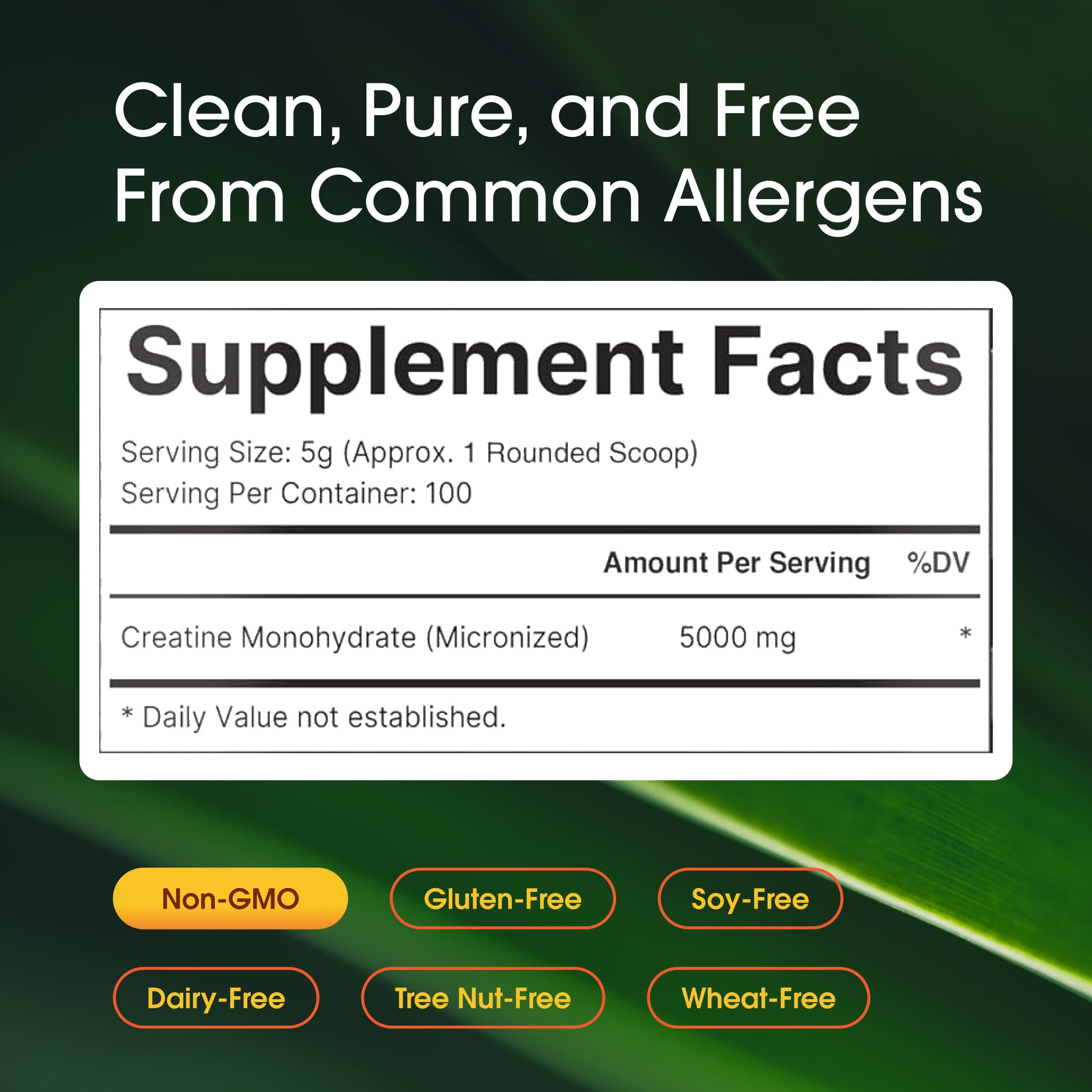 NatureBell Creatine Monohydrate Powder 5000mg scoop