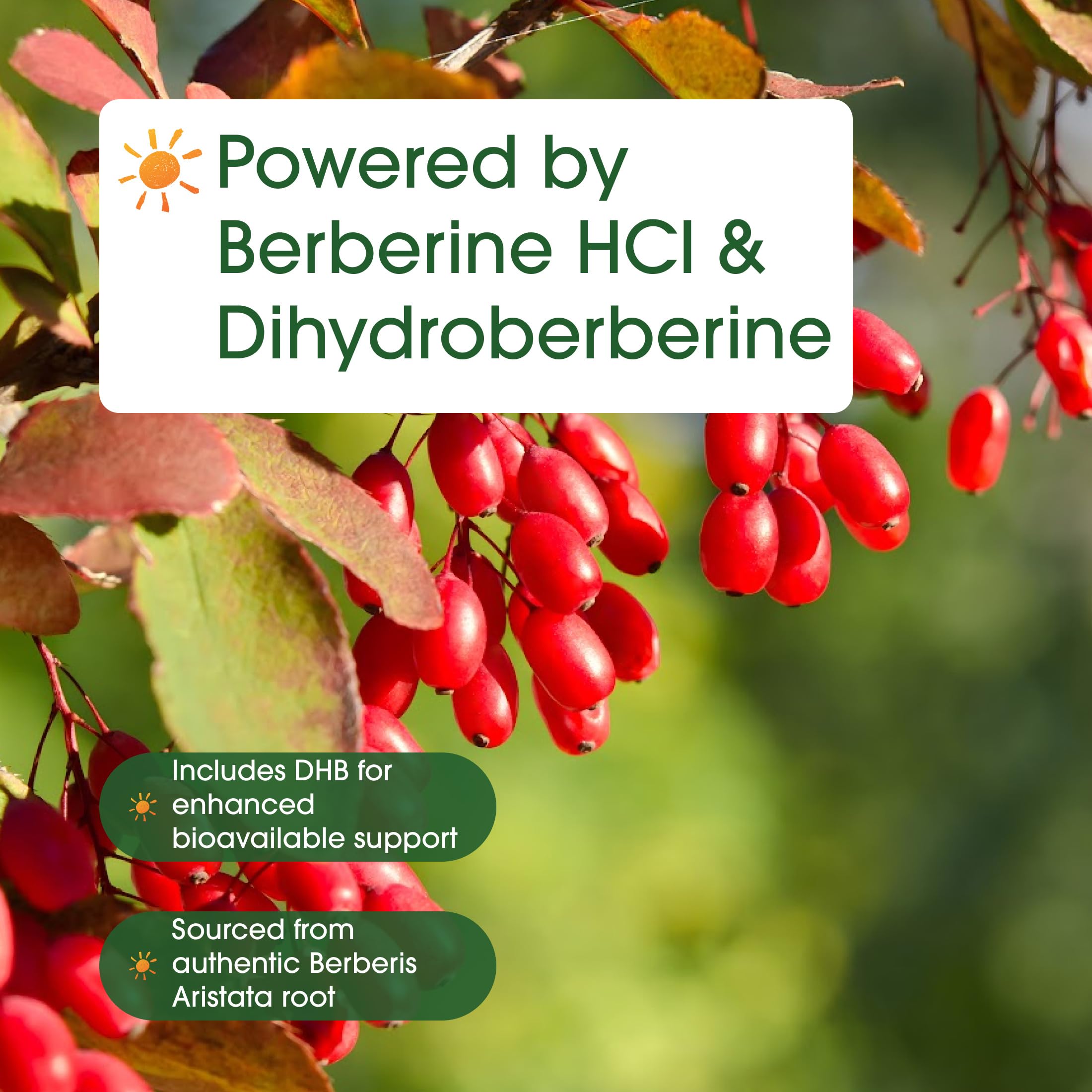 NatureBell Dihydroberberine capsules with ingredients list