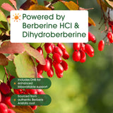 NatureBell Dihydroberberine capsules with ingredients list