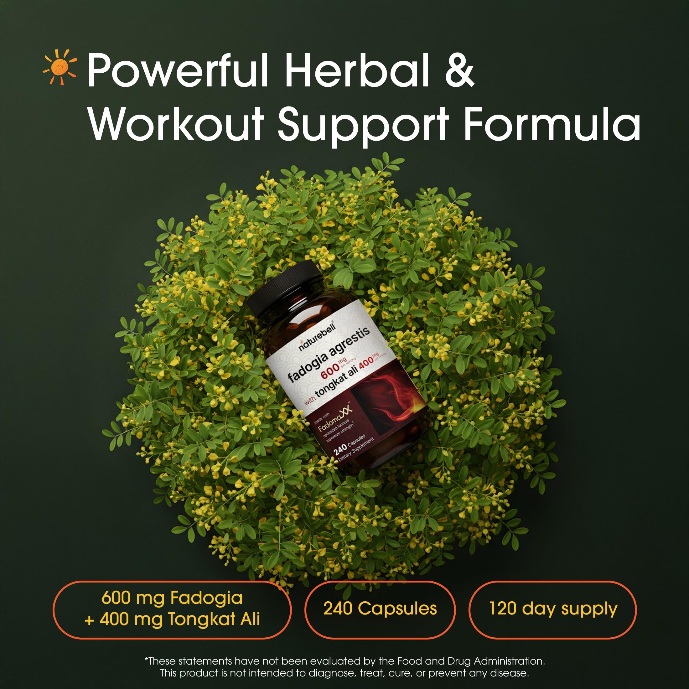 NatureBell Fadogia Agrestis Complex 600mg capsules back view