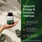 NatureBell Irish Sea Moss 3-in-1 Complex capsules in a hand