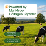 NatureBell Multi Collagen Protein Powder container top view