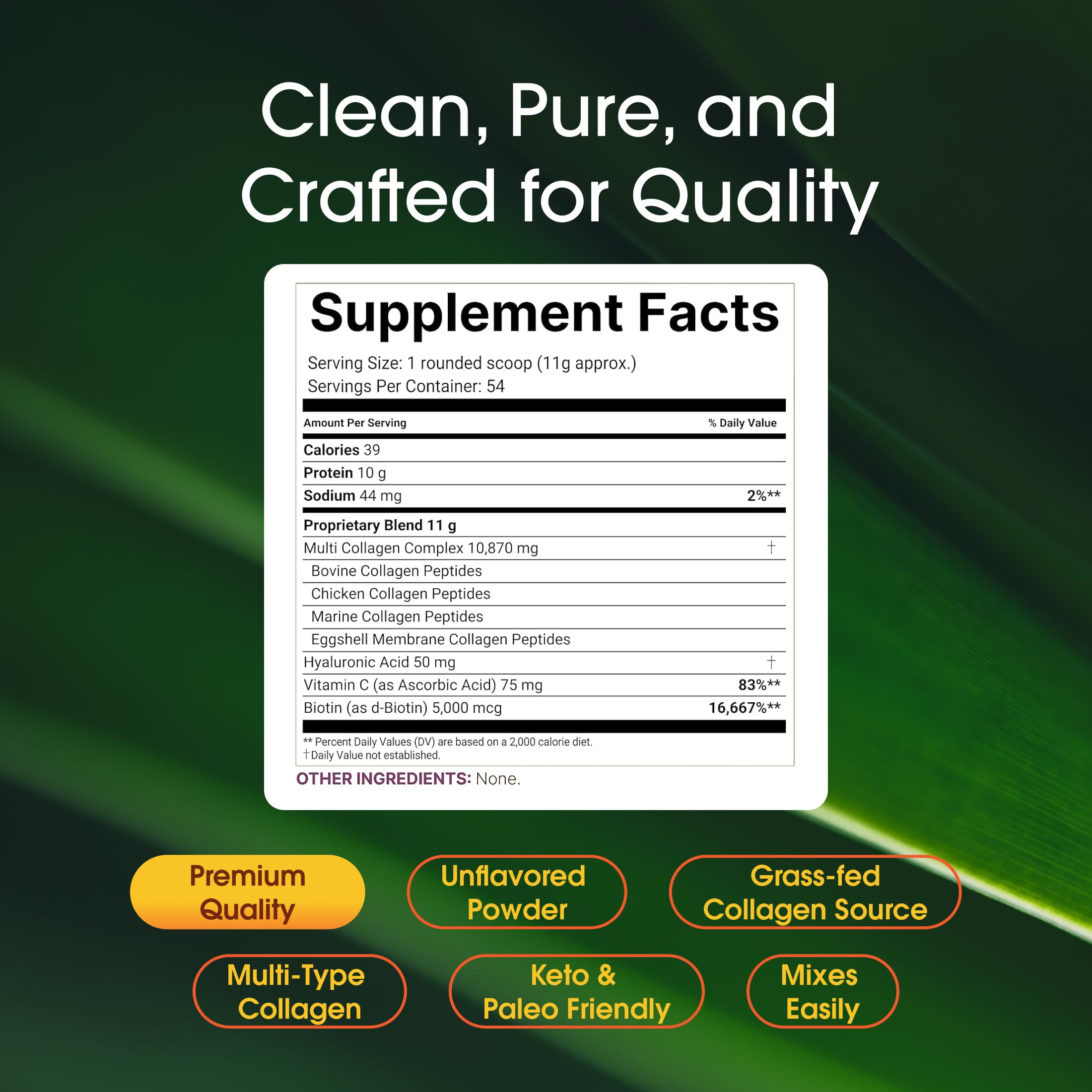 NatureBell Multi Collagen Protein Powder scoop with powder