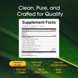 NatureBell Multi Collagen Protein Powder scoop with powder