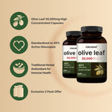 NatureBell Olive Leaf Extract side view with dosage information