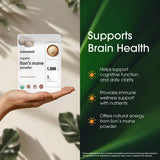 NatureBell Organic Lion’s Mane Mushroom Powder in a bowl