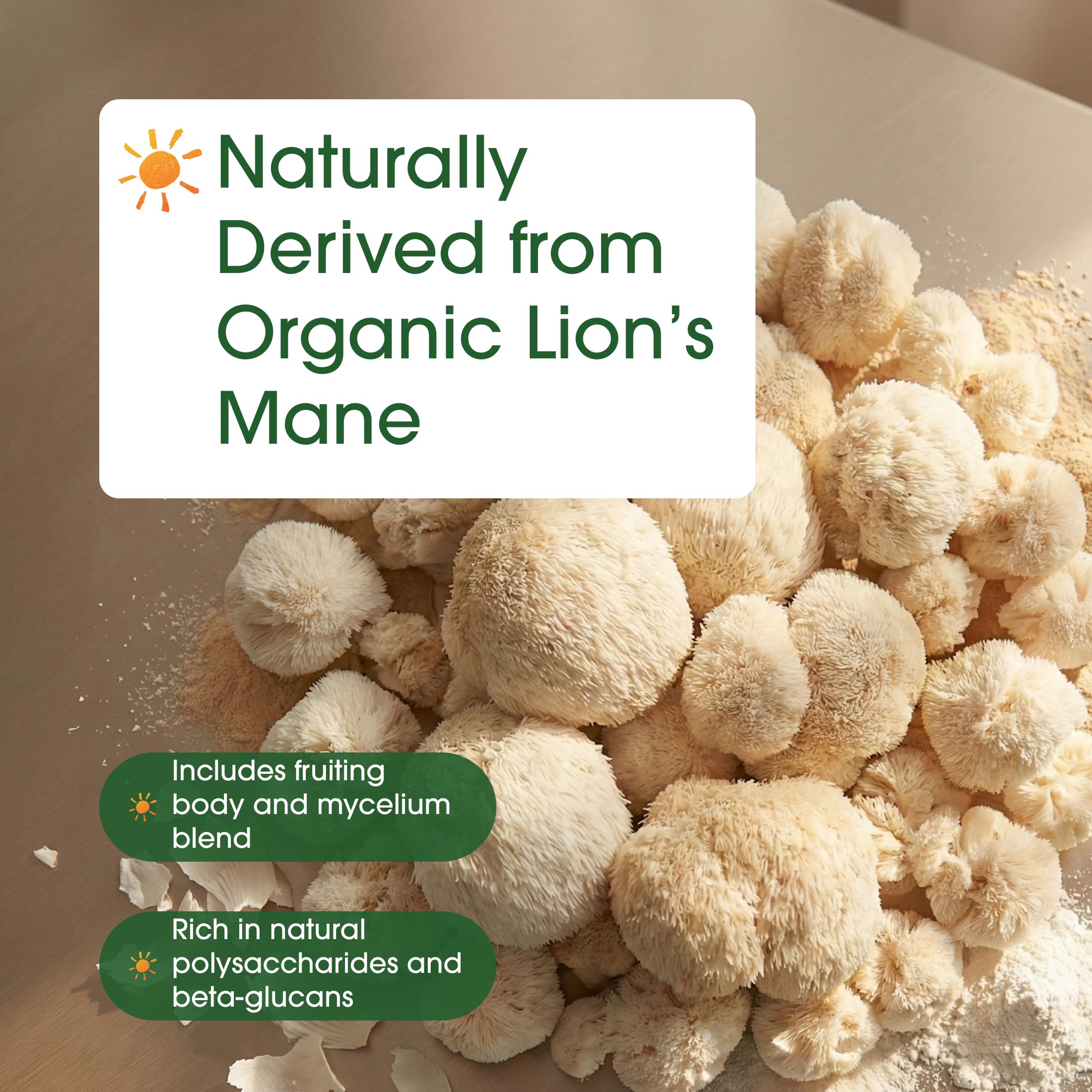 NatureBell Organic Lion’s Mane Mushroom Powder on kitchen counter