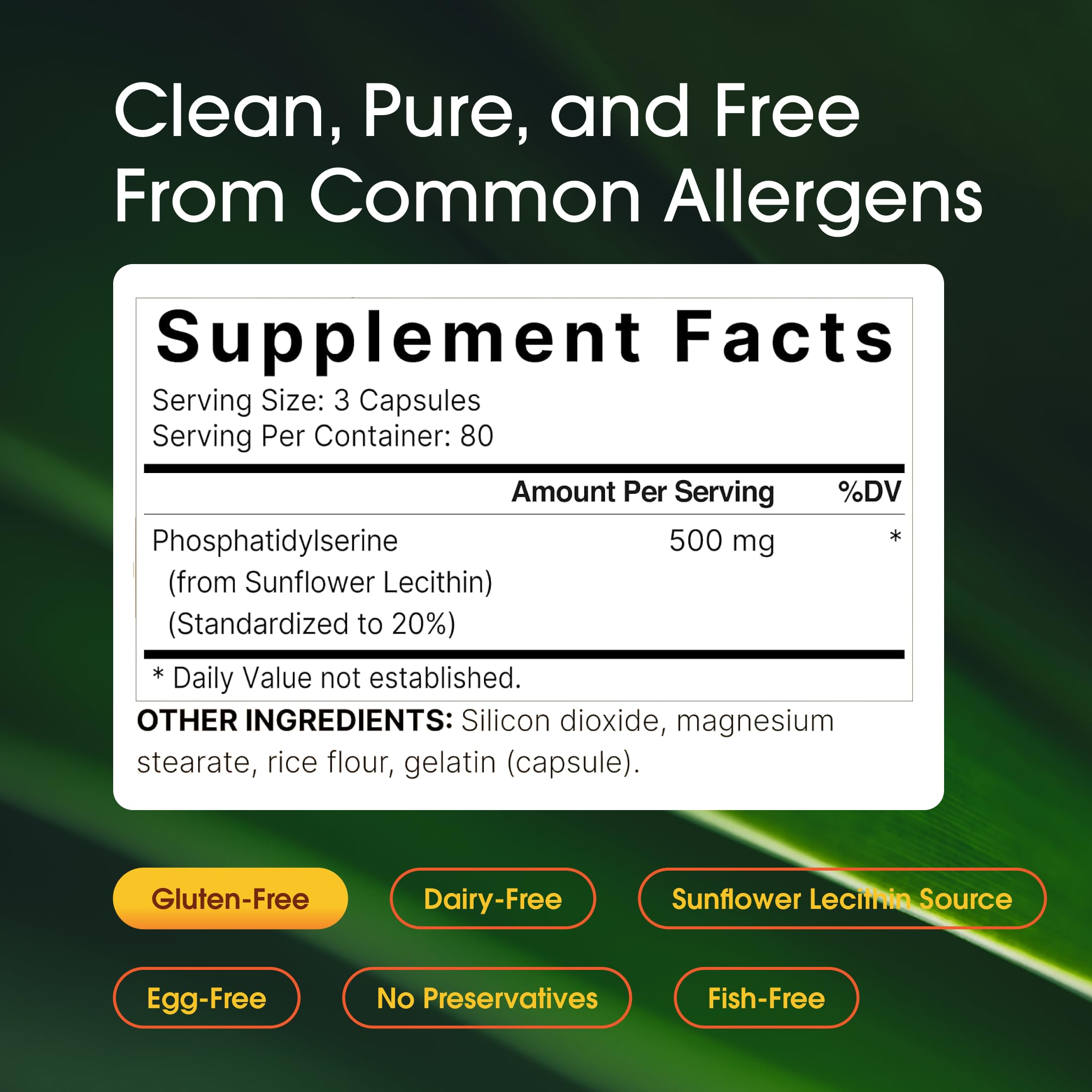 NatureBell Phosphatidylserine 500mg sunflower lecithin capsules bottle with label
