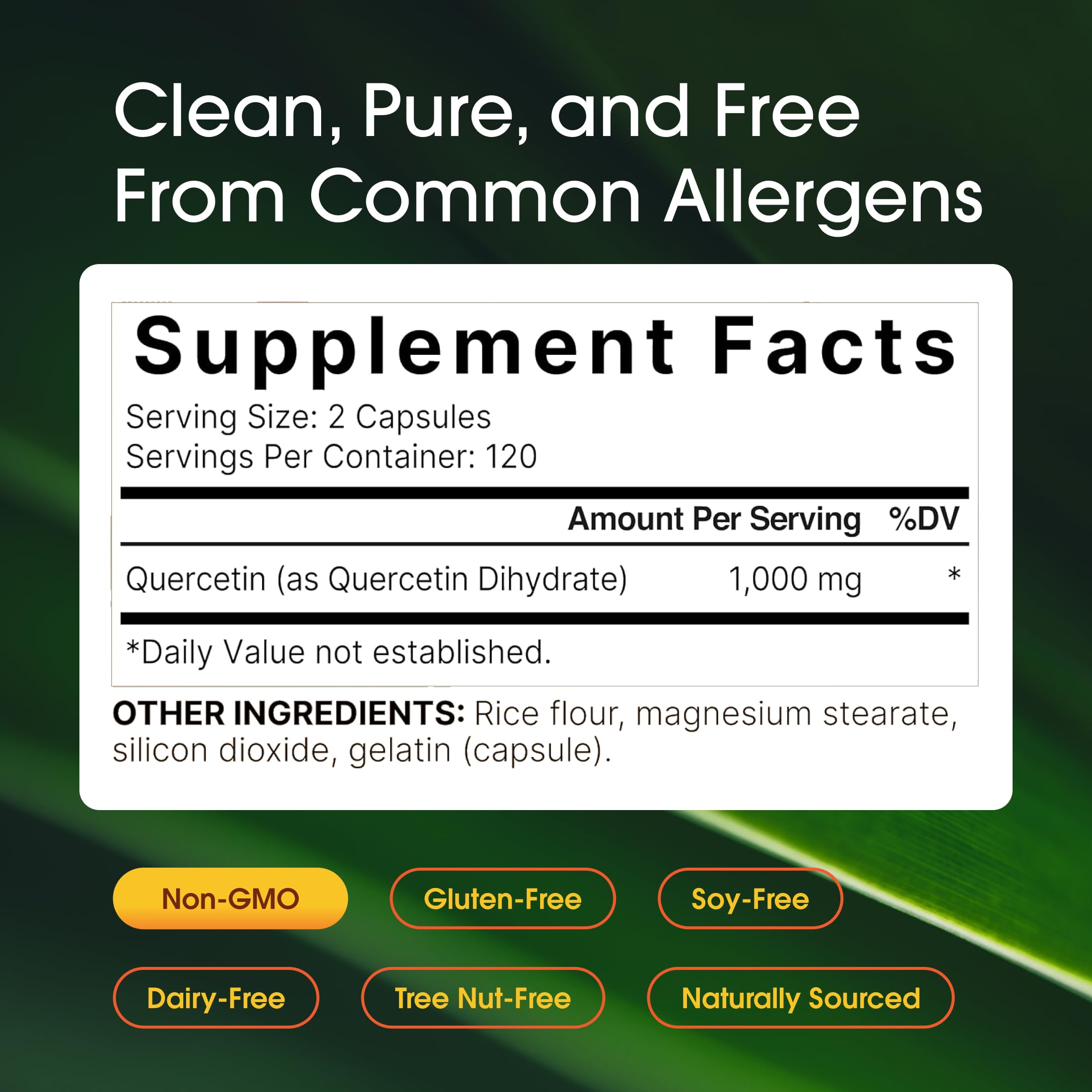 NatureBell Quercetin 1000mg 240 capsules back view