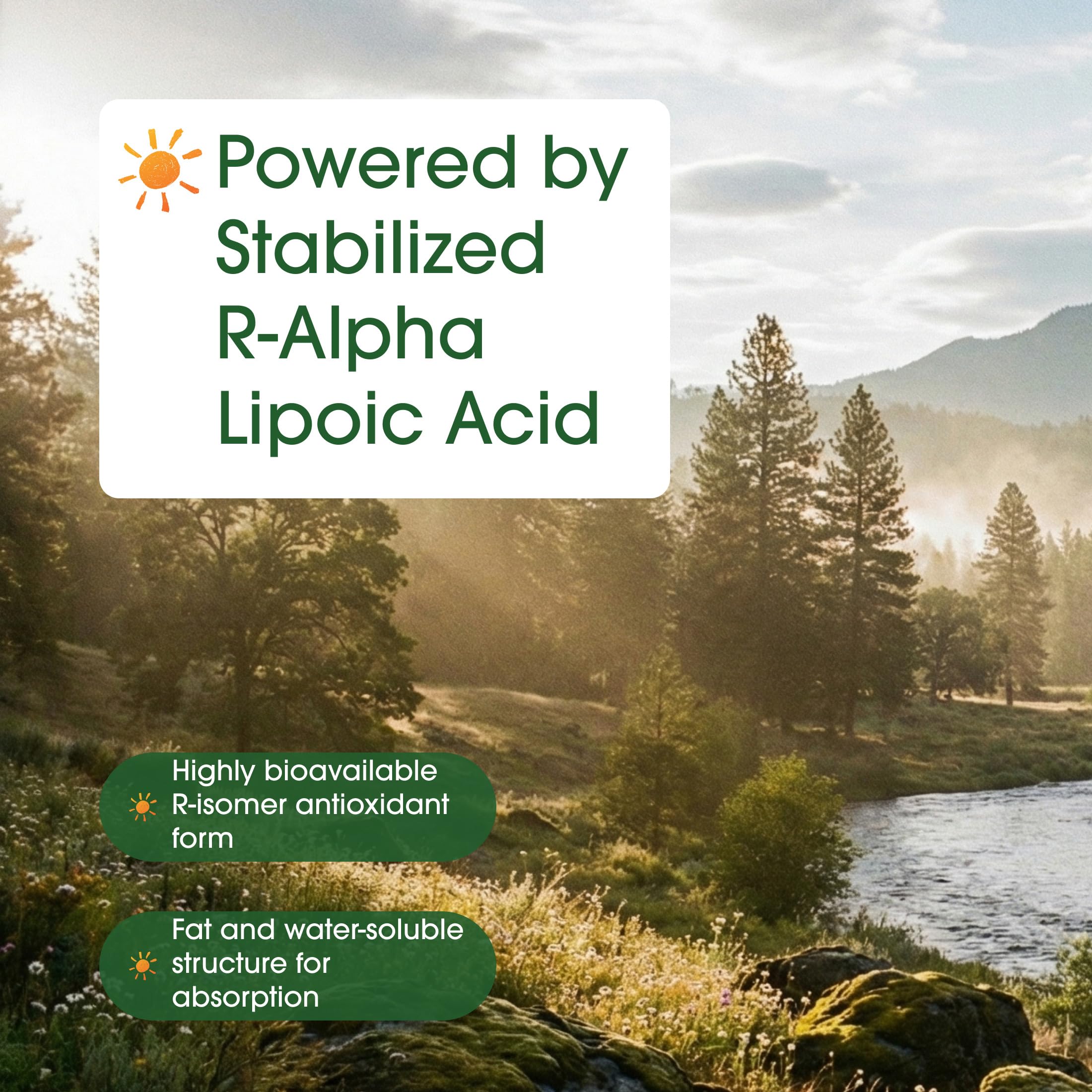 NatureBell R Alpha Lipoic Acid 1200mg supplement with measuring spoon