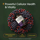 NatureBell Resveratrol Complex 500mg supplement bottle with label
