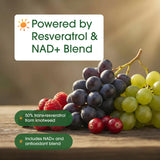 NatureBell Resveratrol Complex 500mg supplement on a wooden table