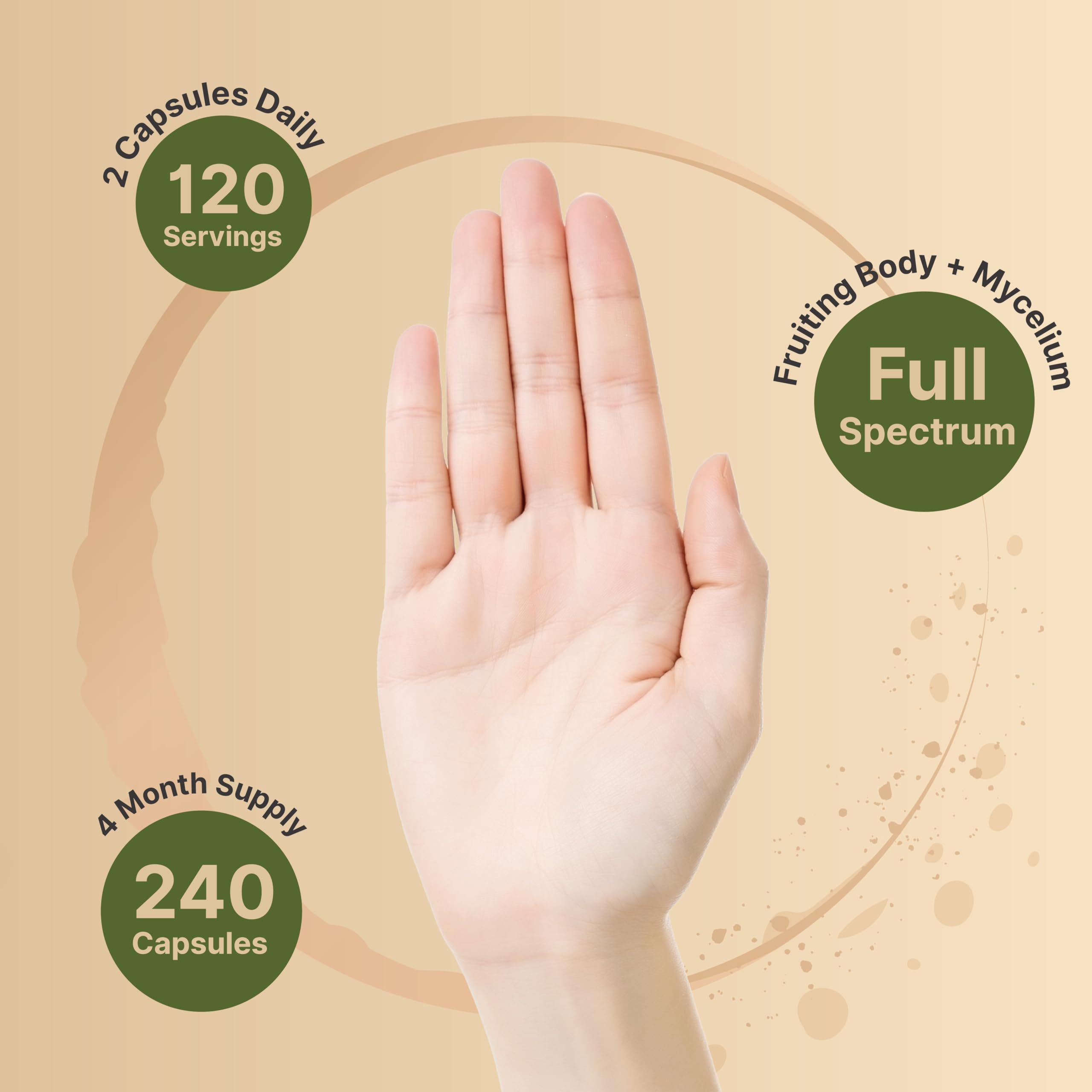 NatureBell Turkey Tail Mushroom Capsules back label with ingredients