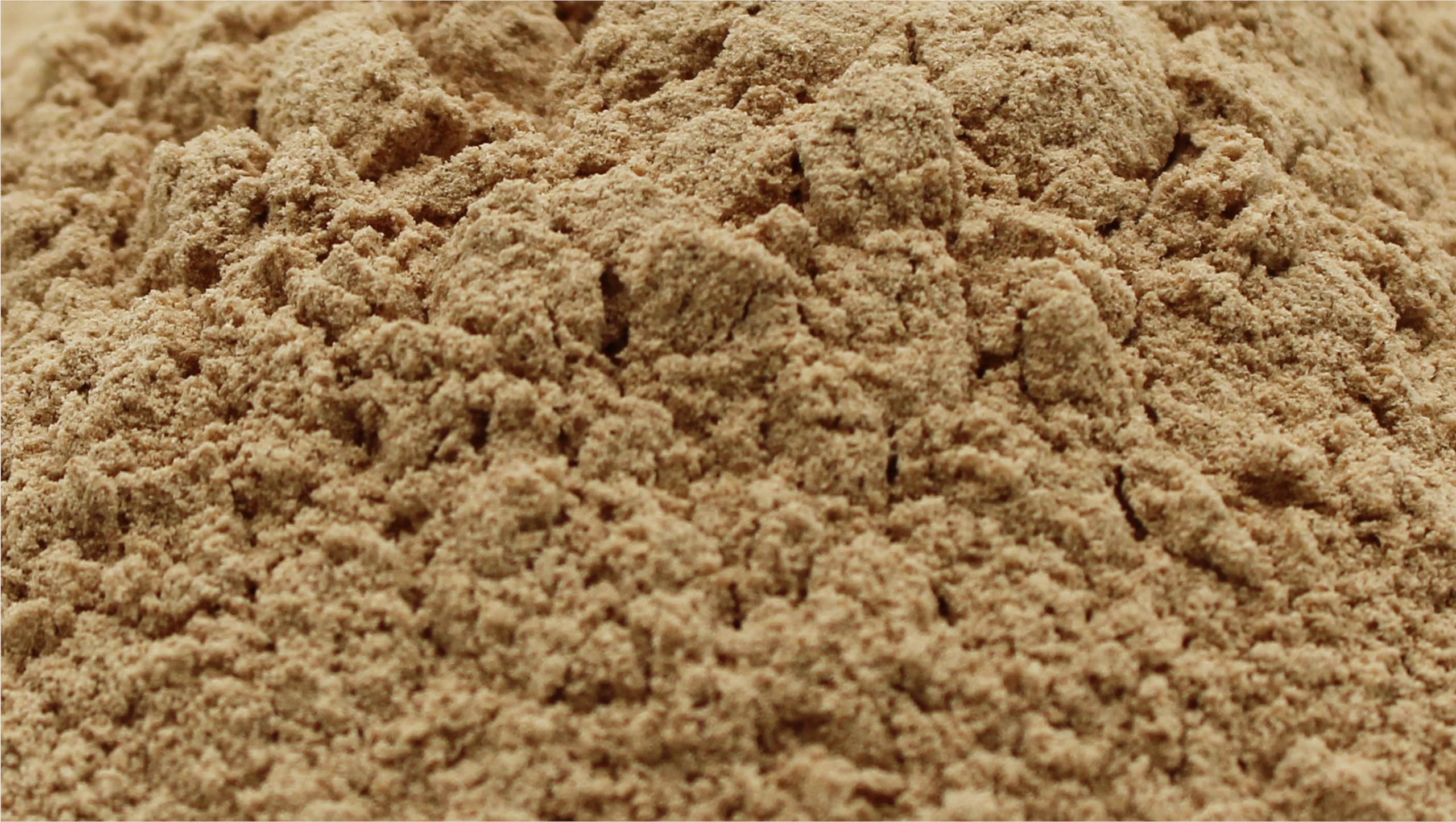Naturejam Lion's Mane Mushroom Powder in a bowl