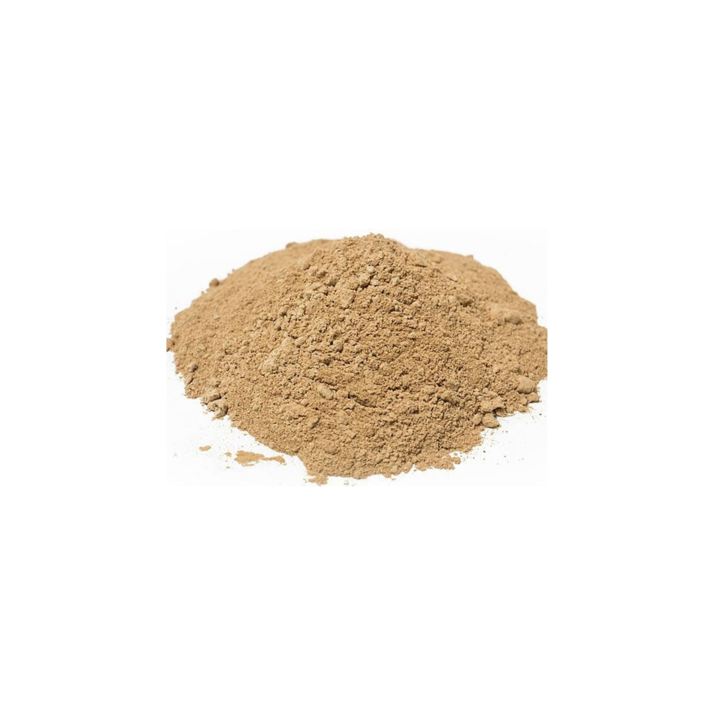 Naturejam Lion's Mane Mushroom Powder scoop with powder