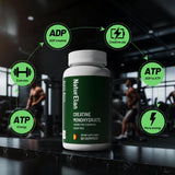 NaturElan Creatine Gummies natural berry flavour label