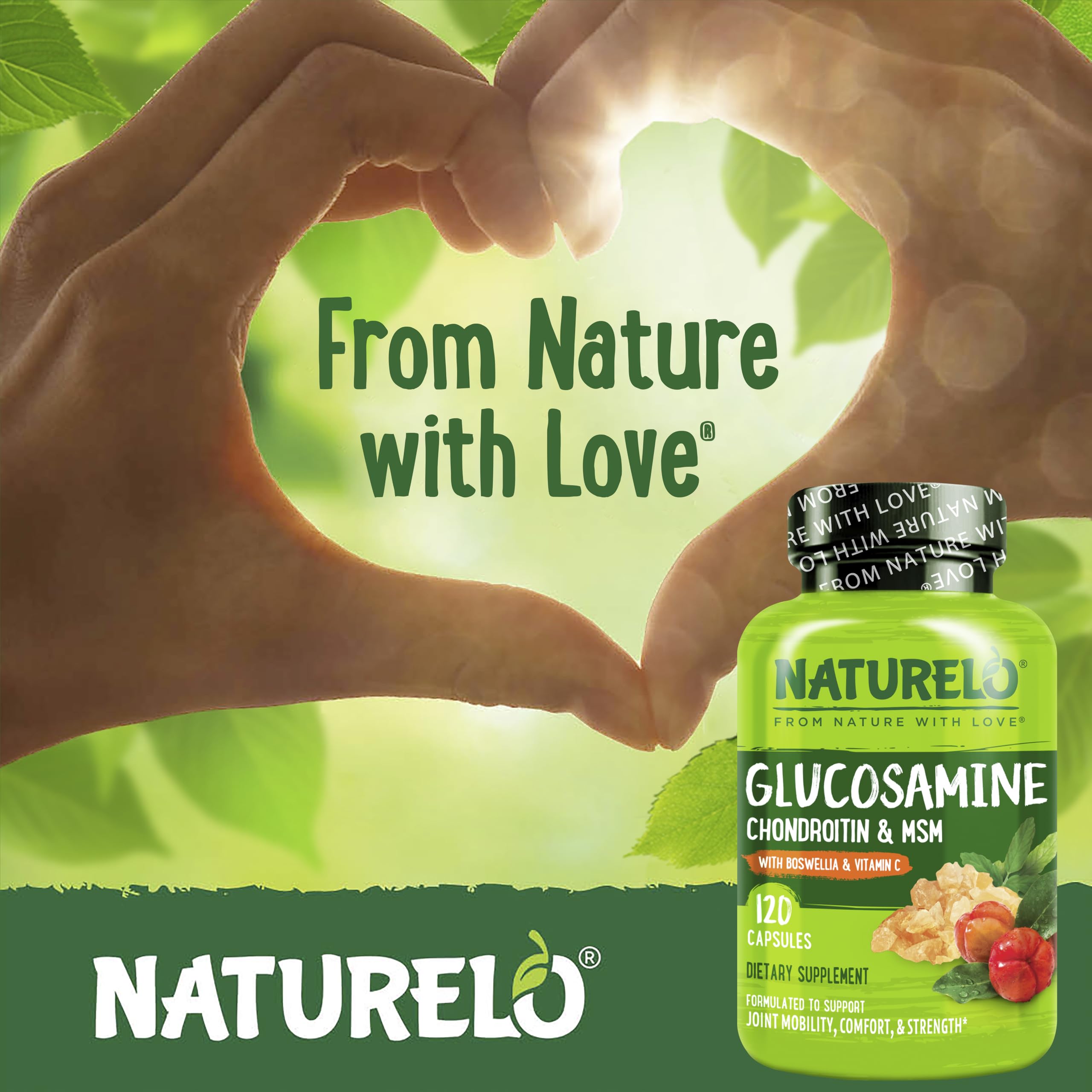 NATURELO Chondroitin Glucosamine MSM supplement ingredients list