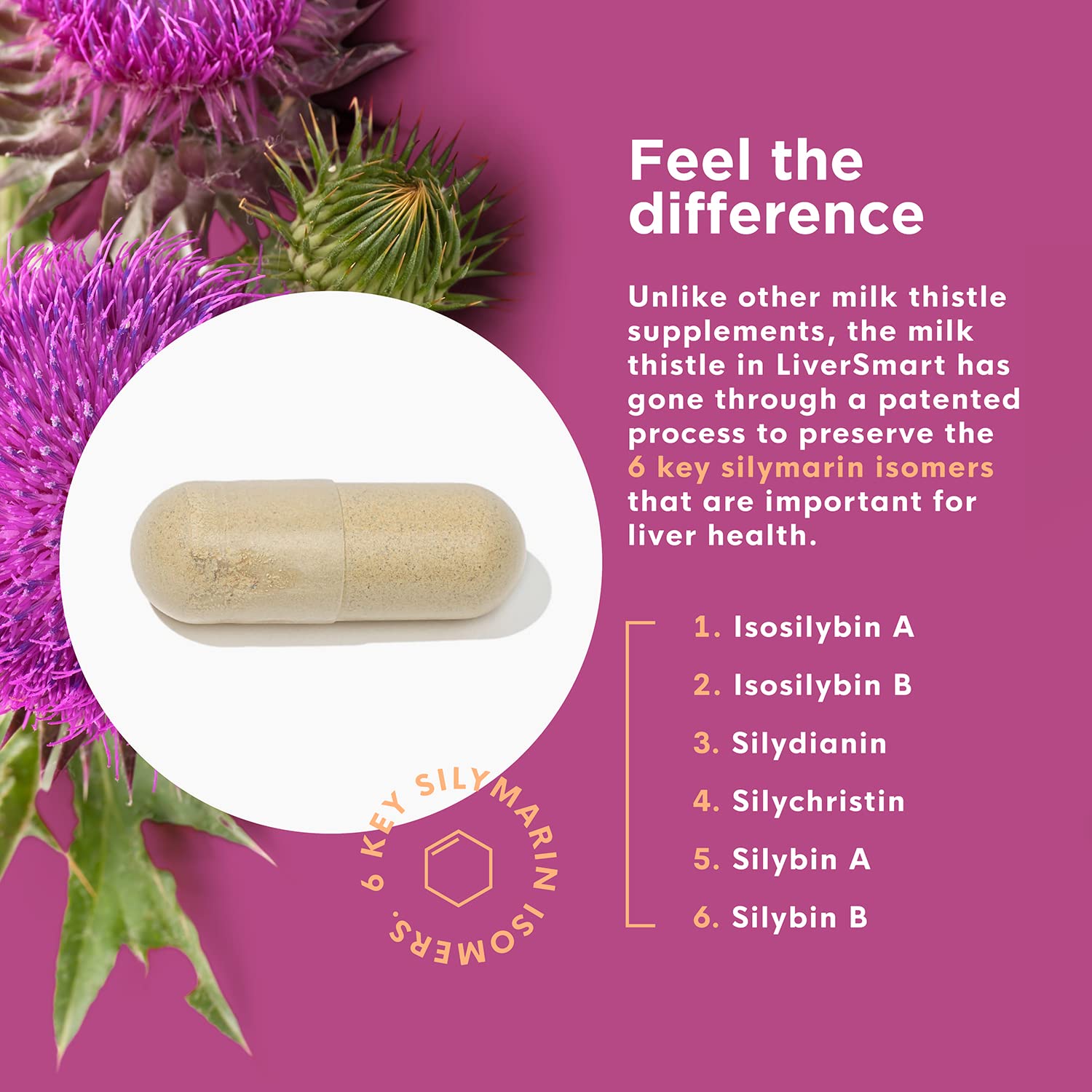 Naturenetics Milk Thistle Liver Support Supplement 250mg capsule close-up