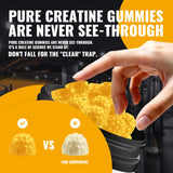 Natures Aid Creatine Monohydrate Gummies bottle side view