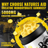 Natures Aid Creatine Monohydrate Gummies on a kitchen counter