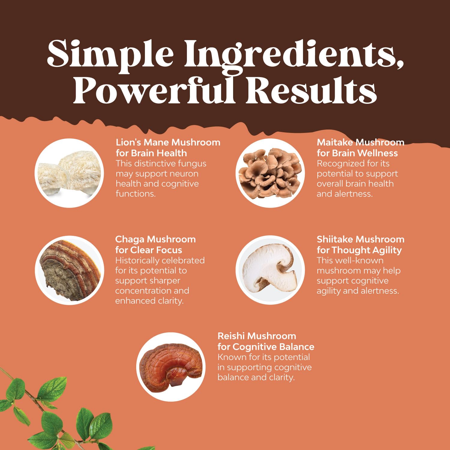 Natures Craft 10X Mushroom Blend Supplement ingredients