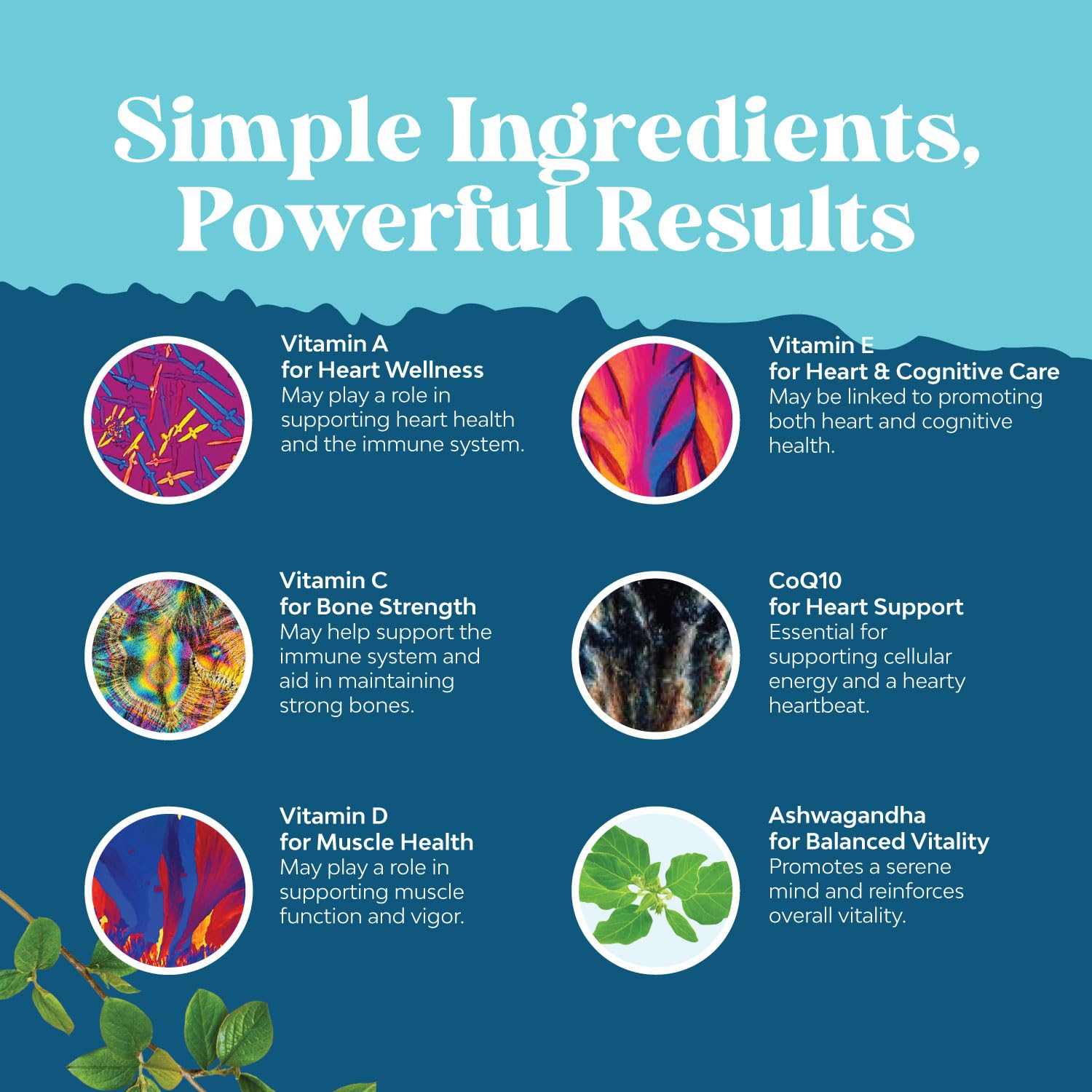 Natures Craft Adult Chewable Multivitamin Gummies in a bowl
