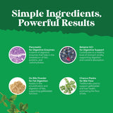 Natures Craft Advanced Gallbladder Formula 500mg in hand