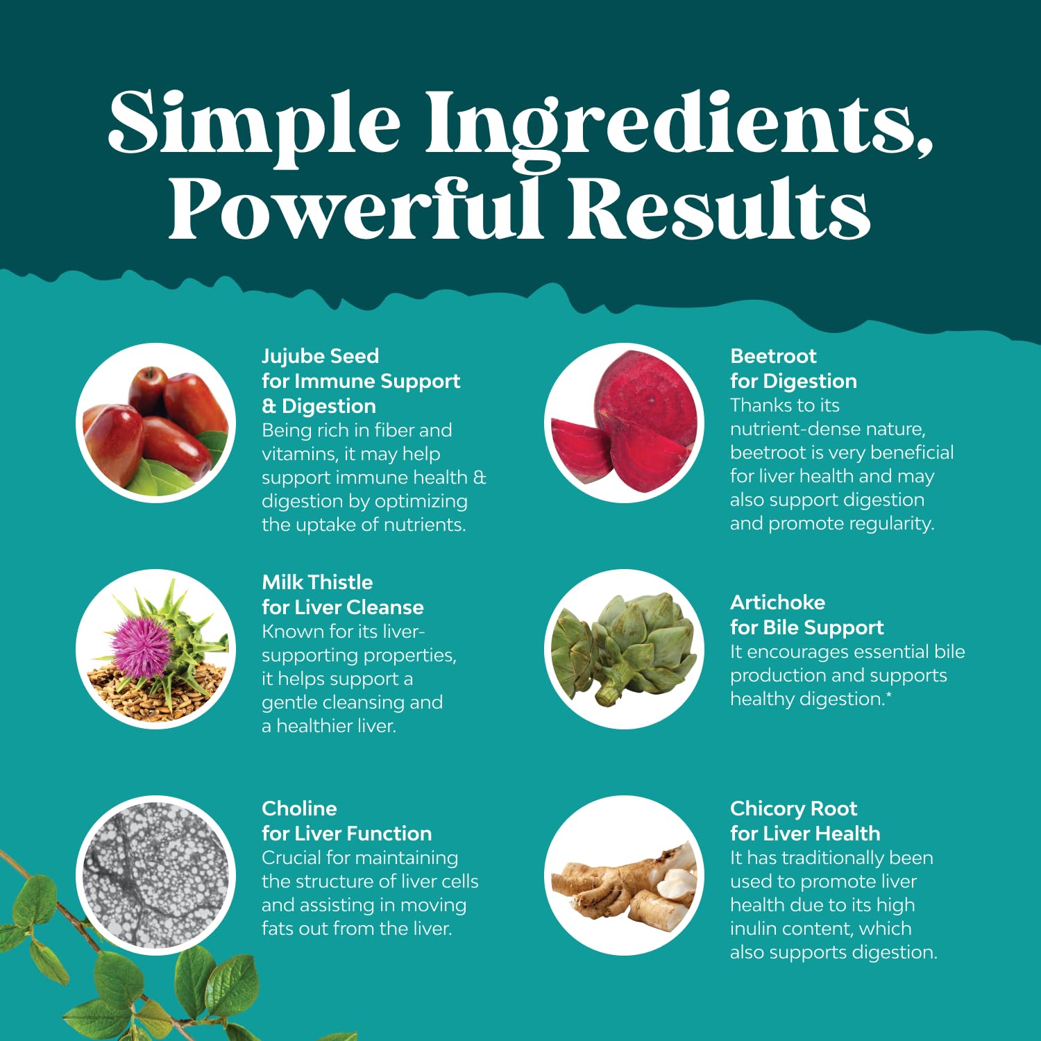 Natures Craft Artichoke Liver Support Supplement 60 Capsules with ingredients list
