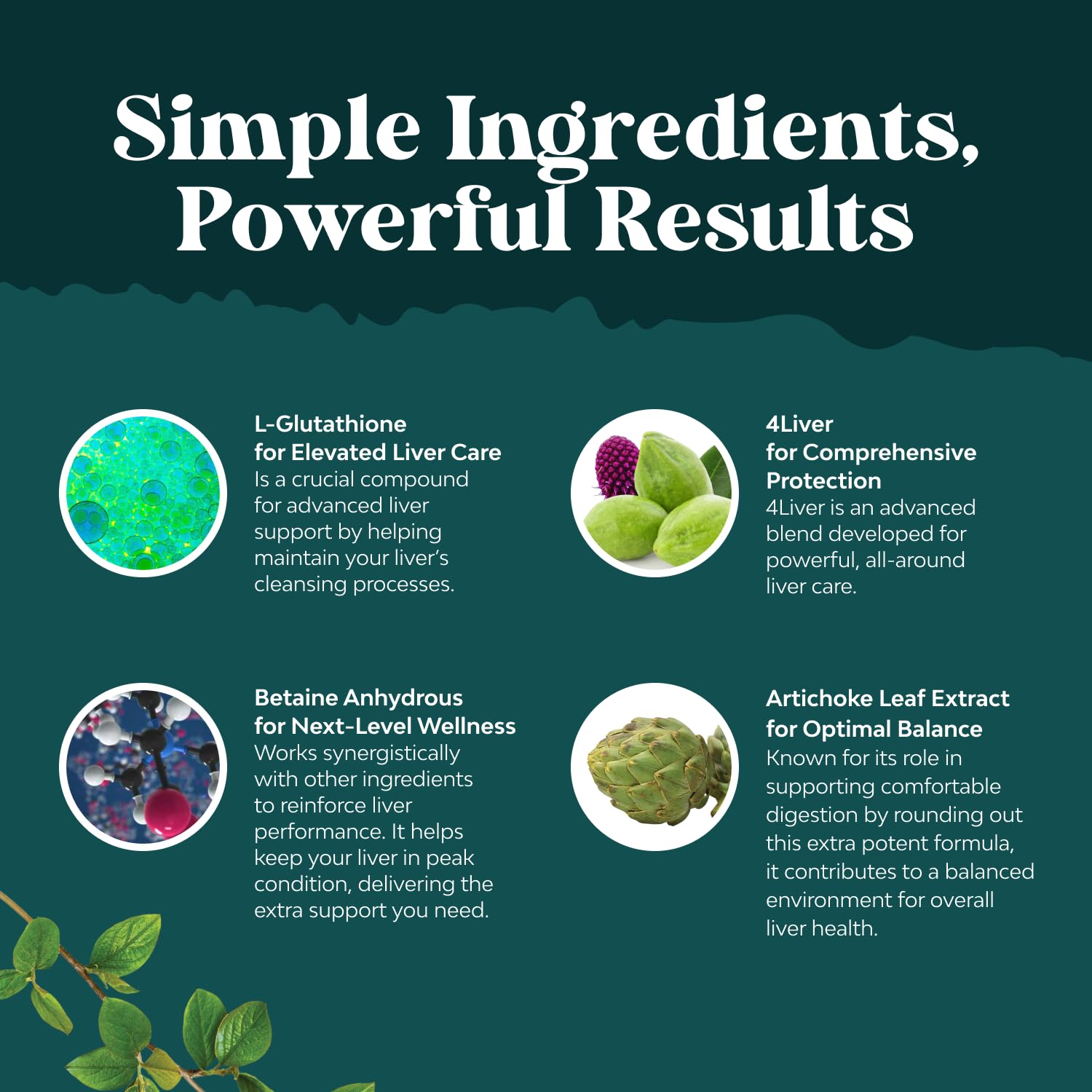 Natures Craft Artichoke Liver Support Supplement packaging