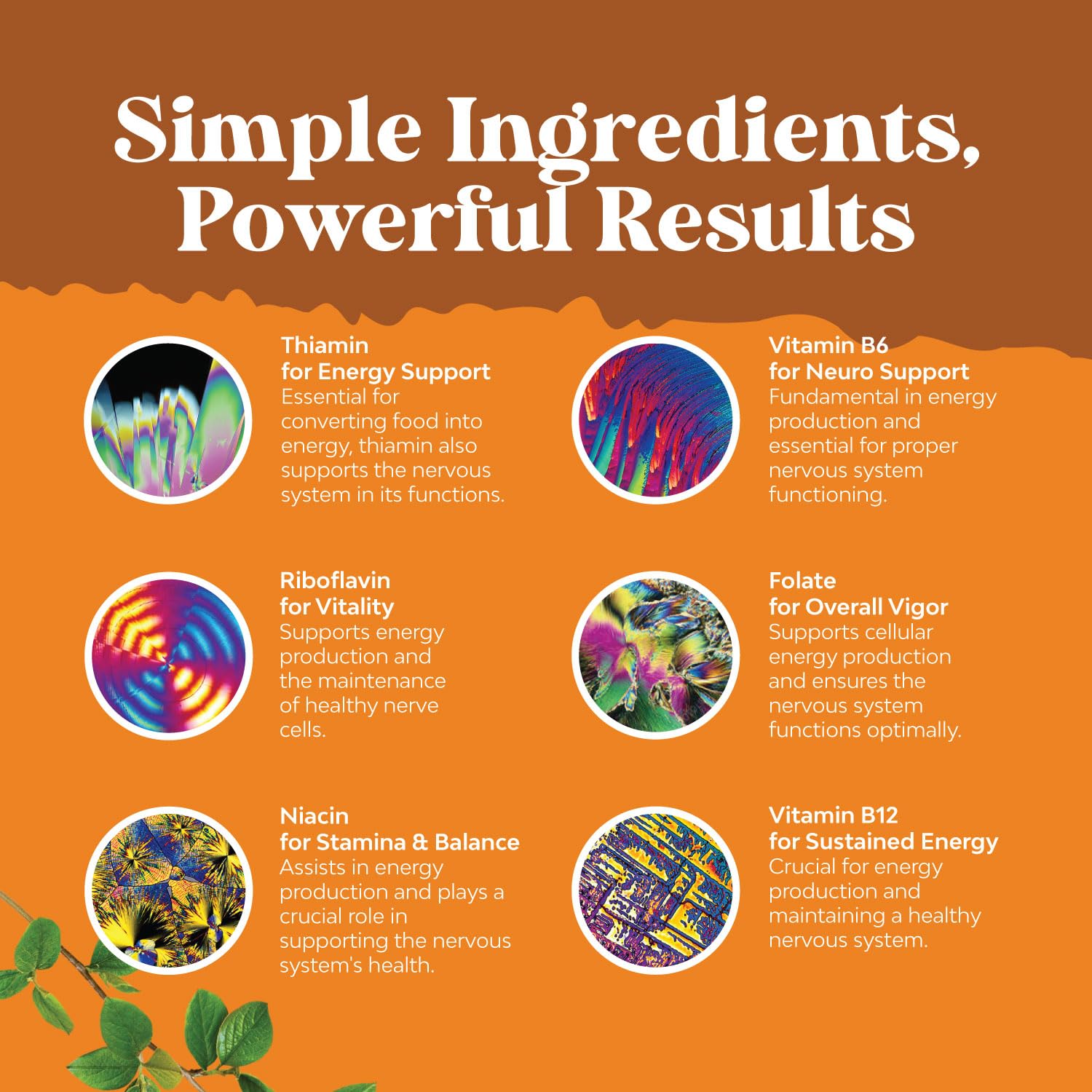 Natures Craft B-Complex Vitamin Supplement 150g ingredients list