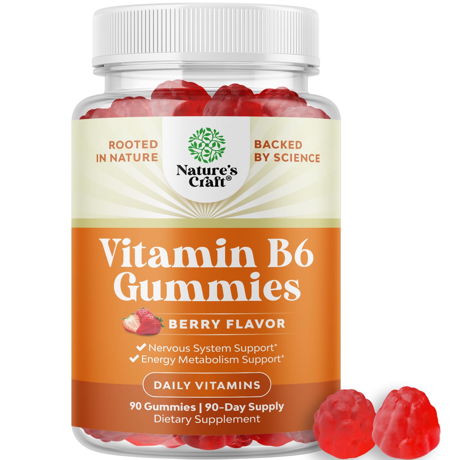 Natures Craft B6 Gummies 325g front view