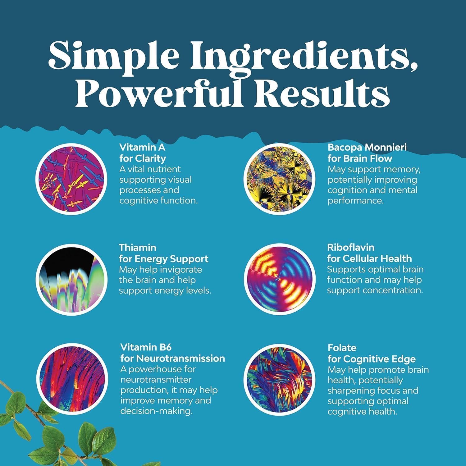 Natures Craft Bacopa Monnieri supplement capsules in hand
