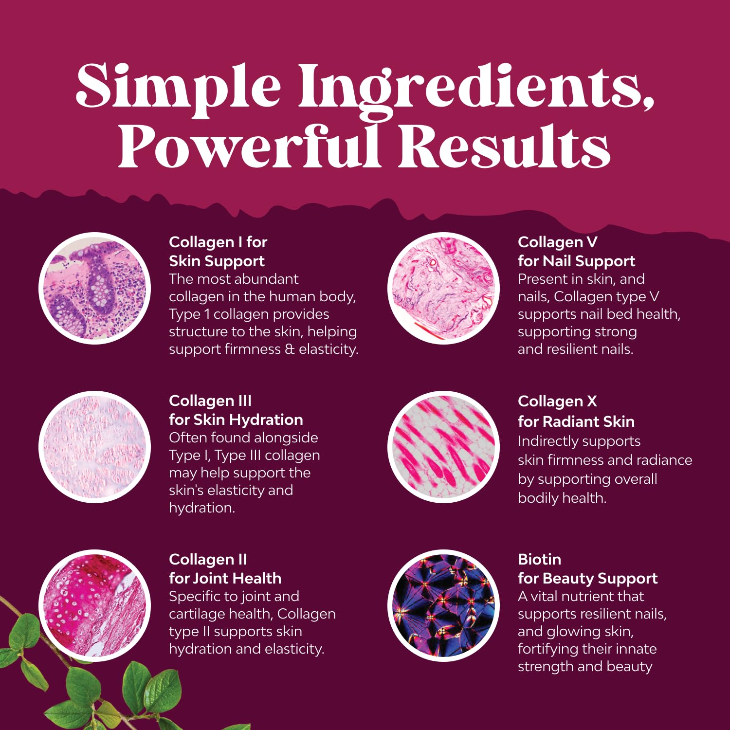 Natures Craft Biotin Collagen Peptides Capsules close-up of capsules