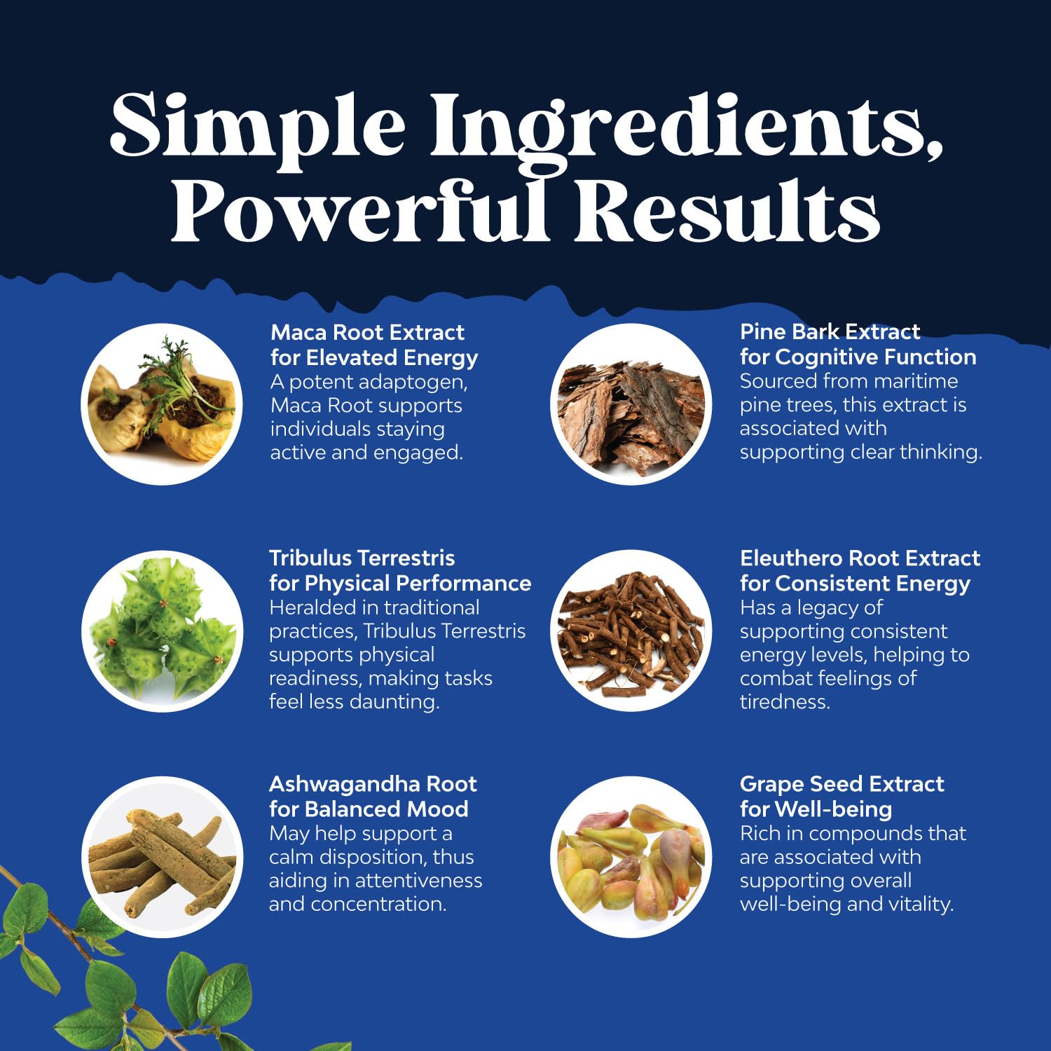 Natures Craft Black Maca Root Capsules close up